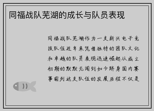 同福战队芜湖的成长与队员表现